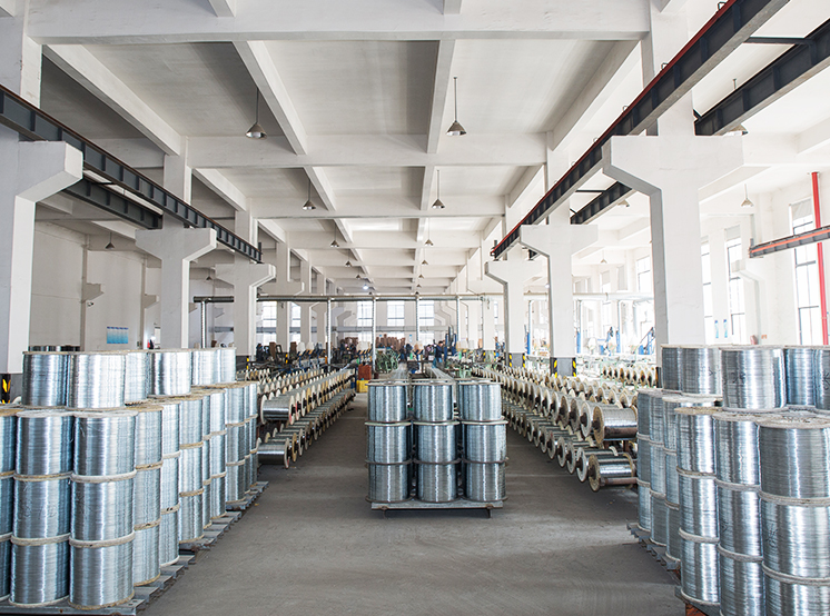 Zhejiang Tianying Hardware Products Co., Ltd.